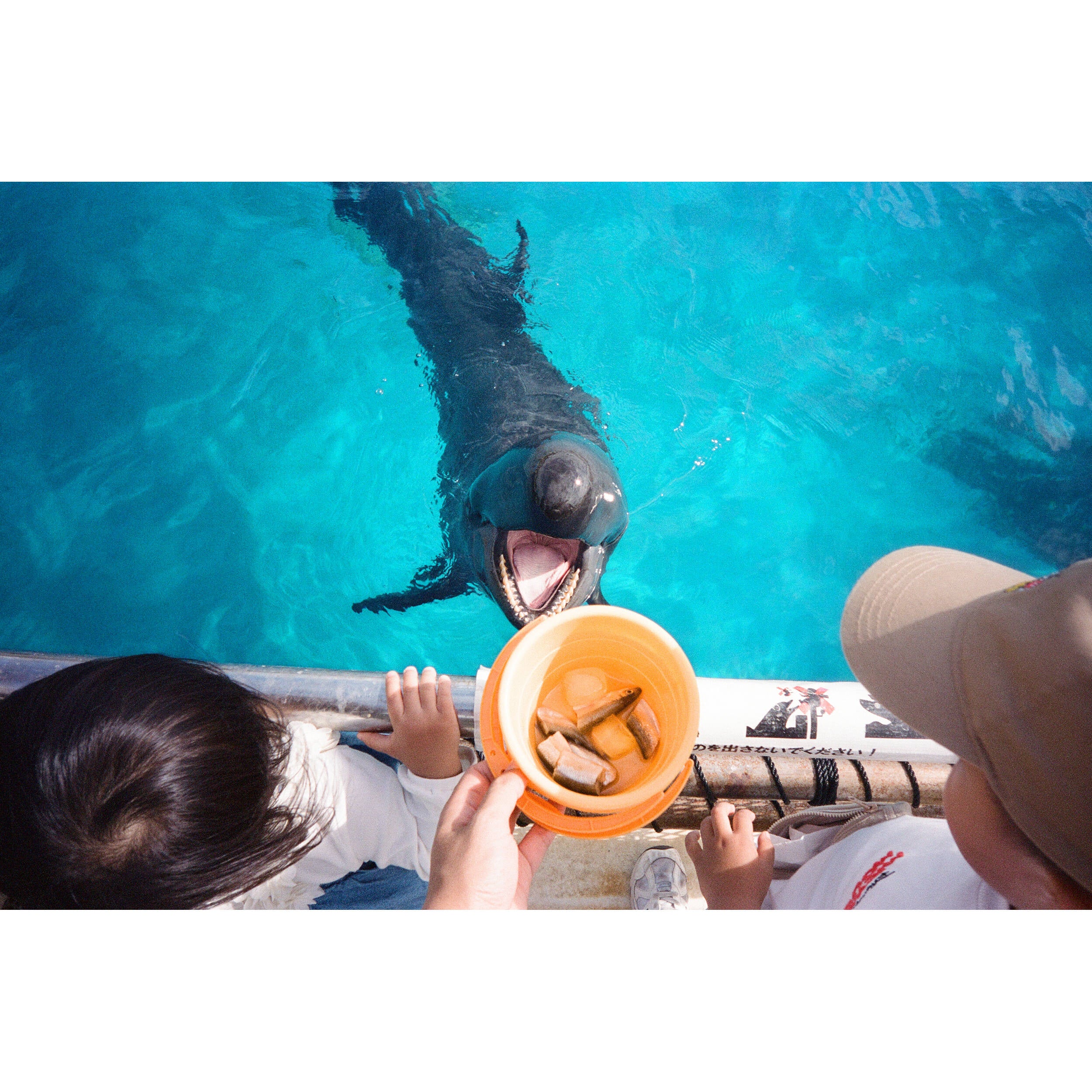 Kodak Snapic A1 - White