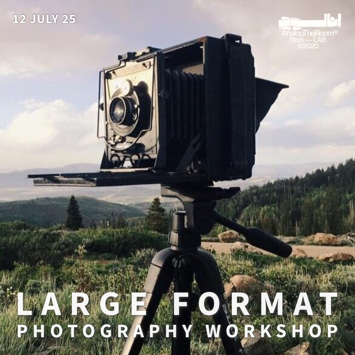 Large Format Photography - Workshop