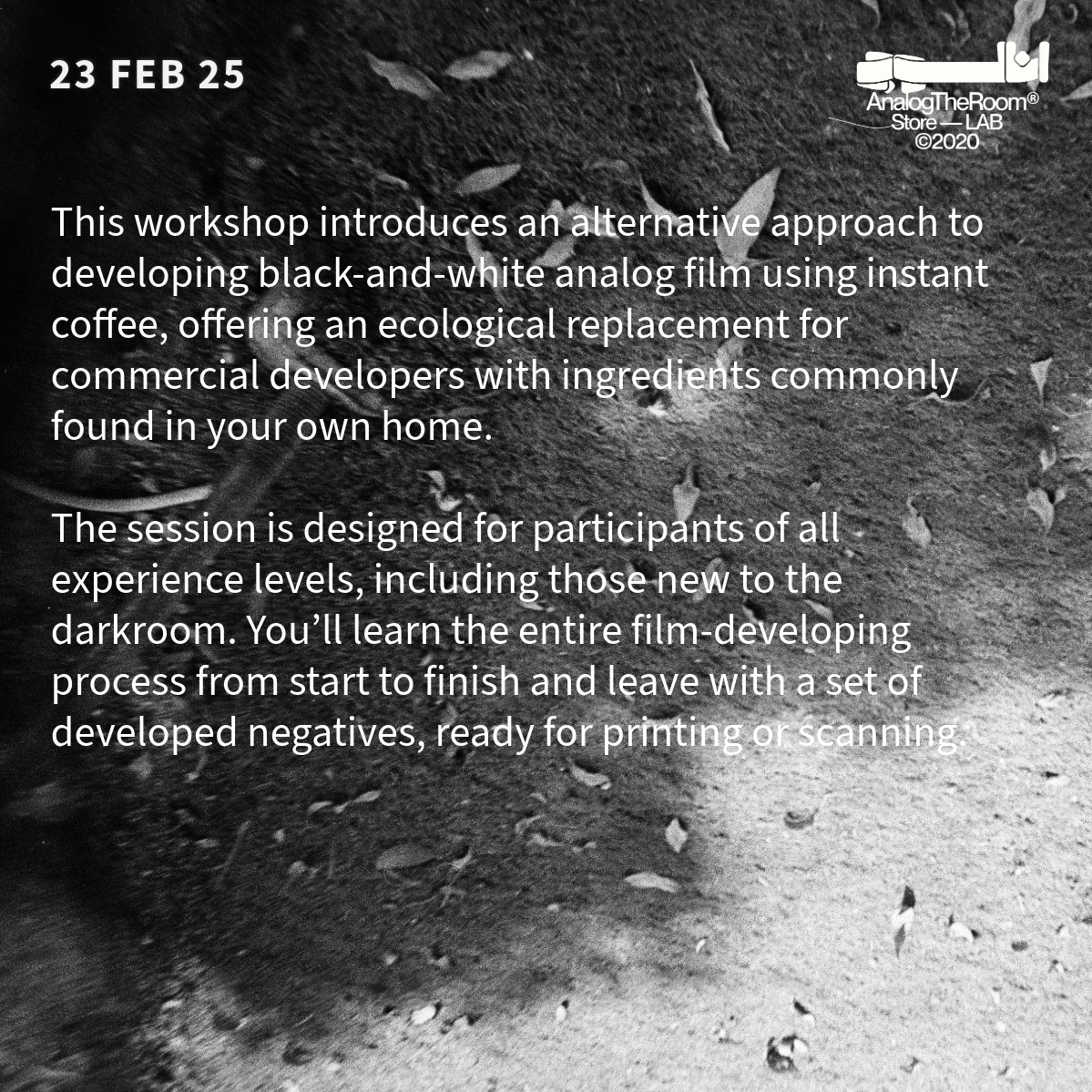 Alternative Film Development - Workshop