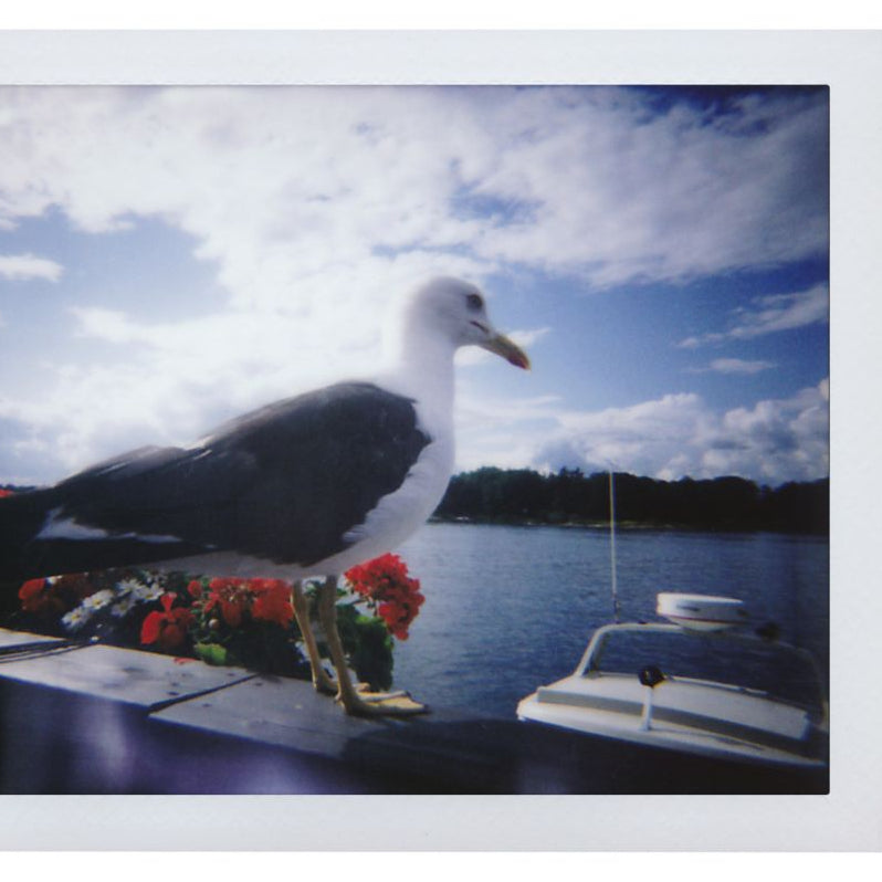 Lomo’Instant Camera - Sanremo Edition